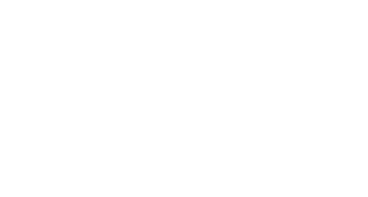 YESS Exclusive logo