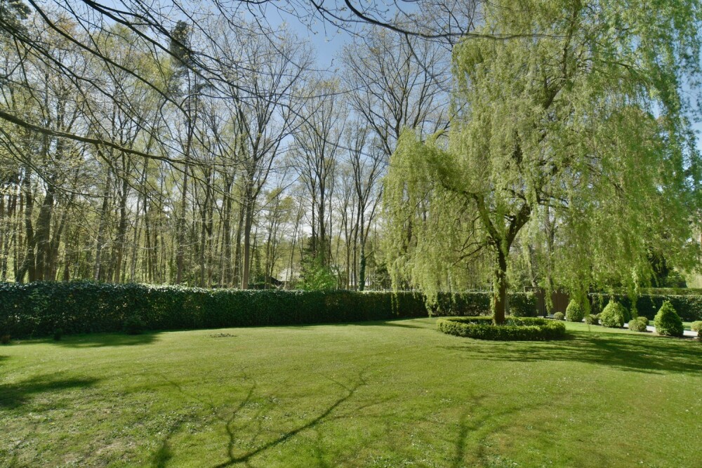 Foto 5 1000w