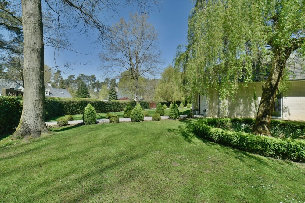 Foto 34 1000w