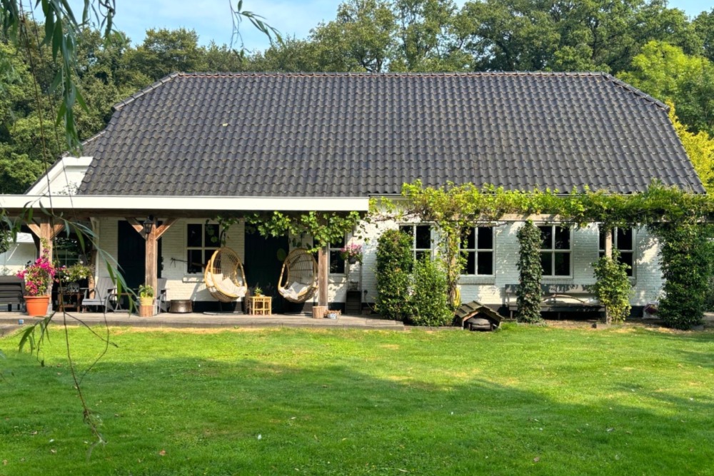 Foto 29 1000w