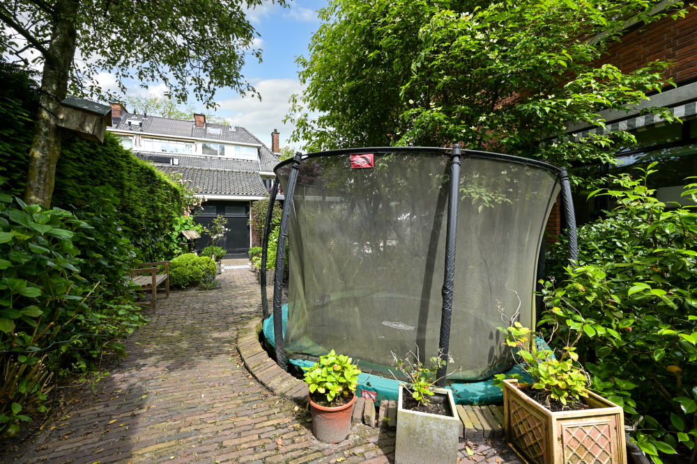 Foto 23 1000w