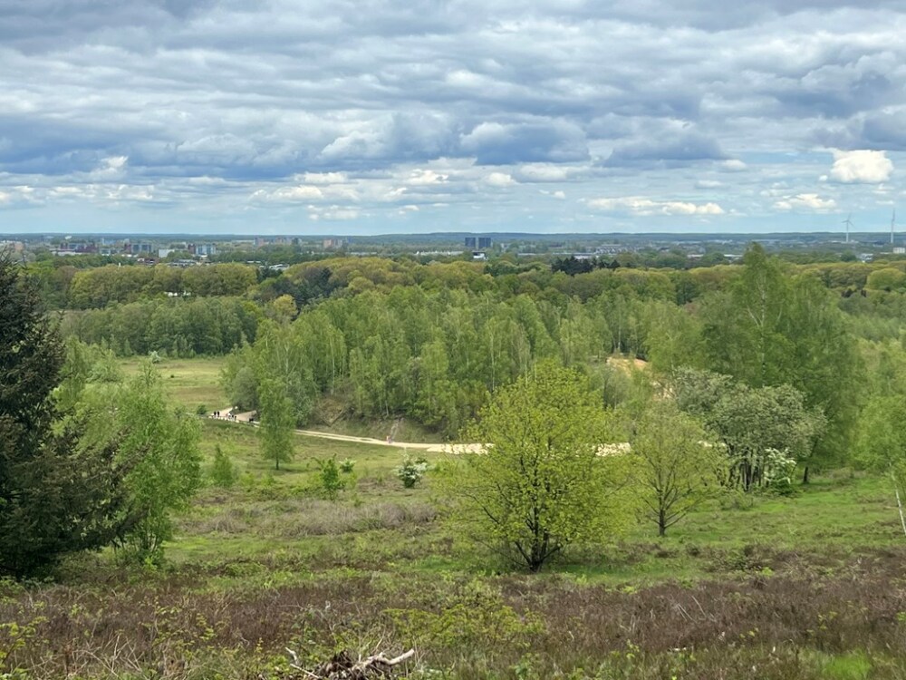 Foto 62 1000w
