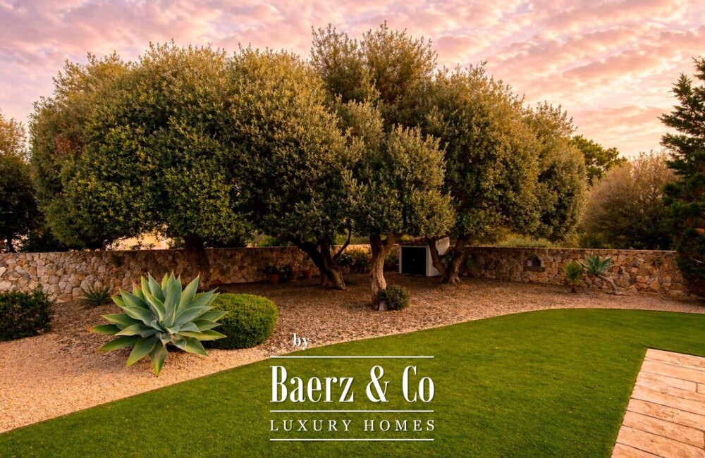 Foto 3 1000w