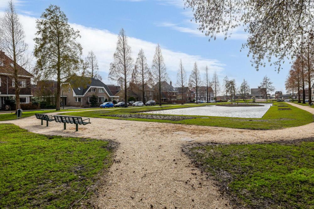 Foto 4 1000w