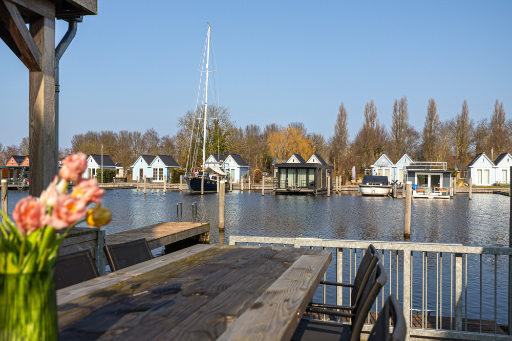Foto 2 1000w