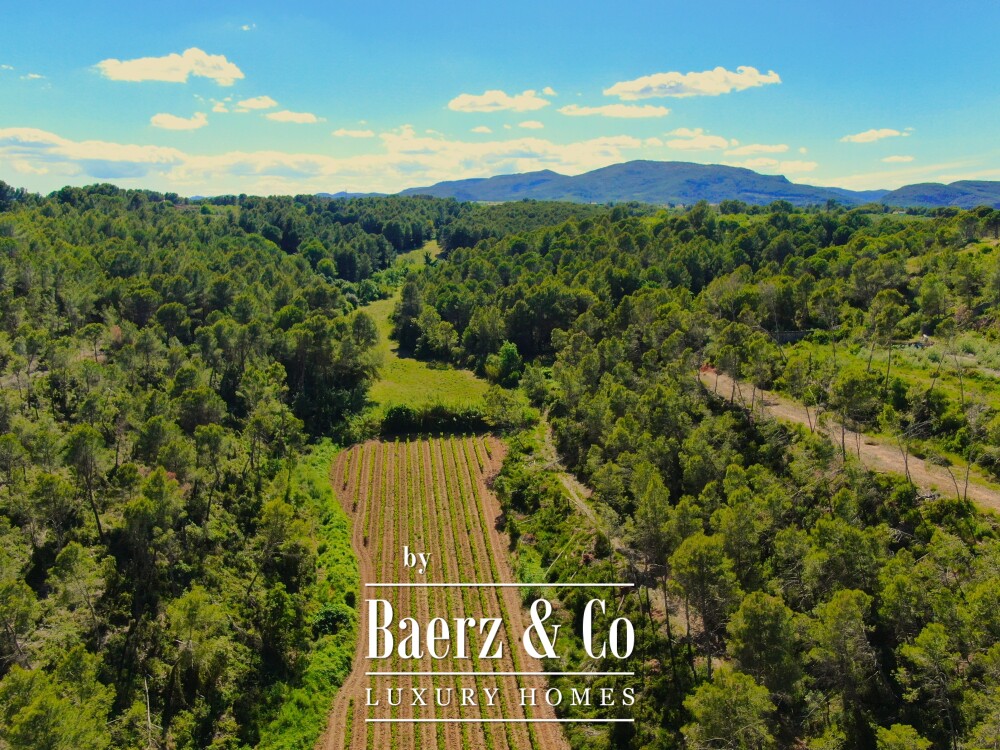 Historic Country House with Vineyard near Barcelona image