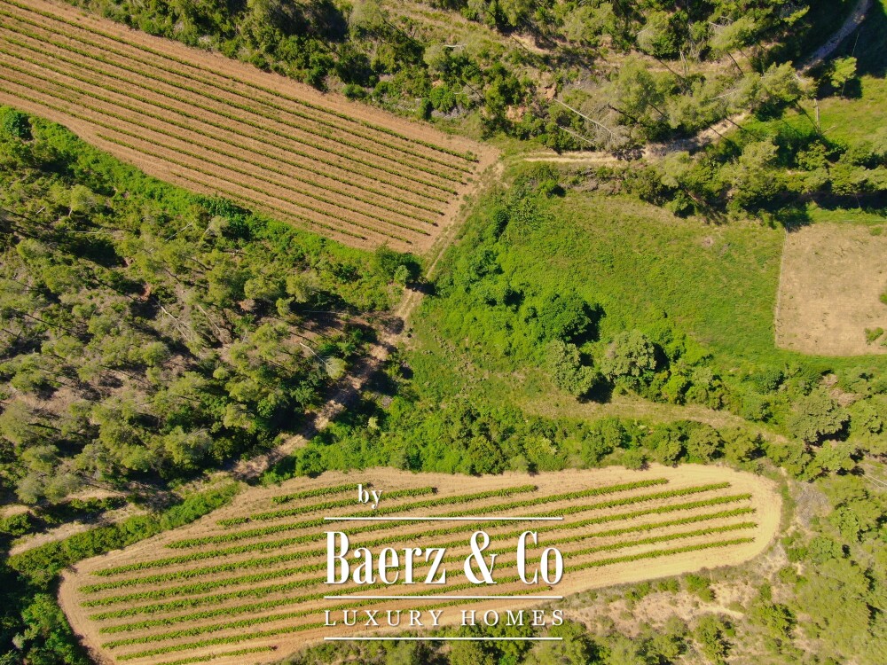 Historic Country House with Vineyard near Barcelona image