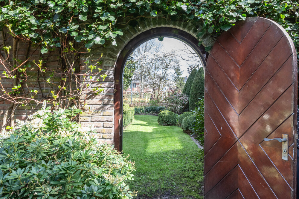 Foto 54 1000w