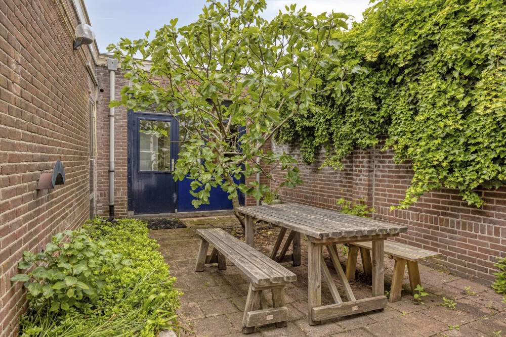 Foto 47 1000w