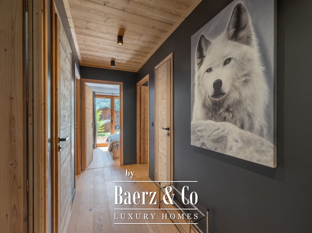 Garden-Level Apartment - Mont-Blanc Views image