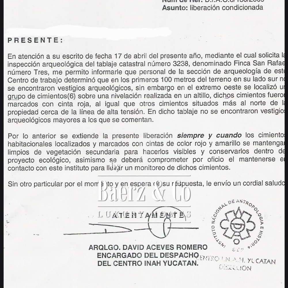 75 Acres Plot of Land with Archaeological Remains and Release from INAH, on Highway 8 km from Chichen Itza image