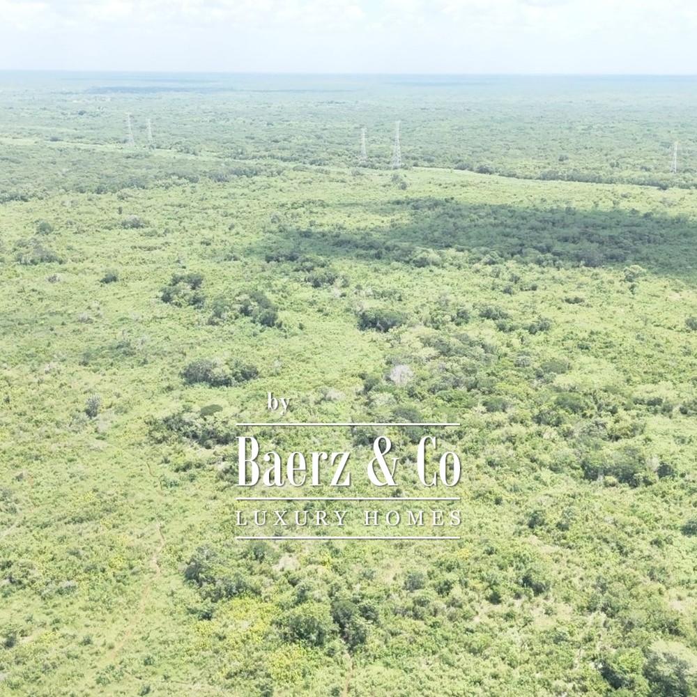 15 HECTARES OF JUNGLE | CUXTAL, KANASÍN, YUCATÁN image