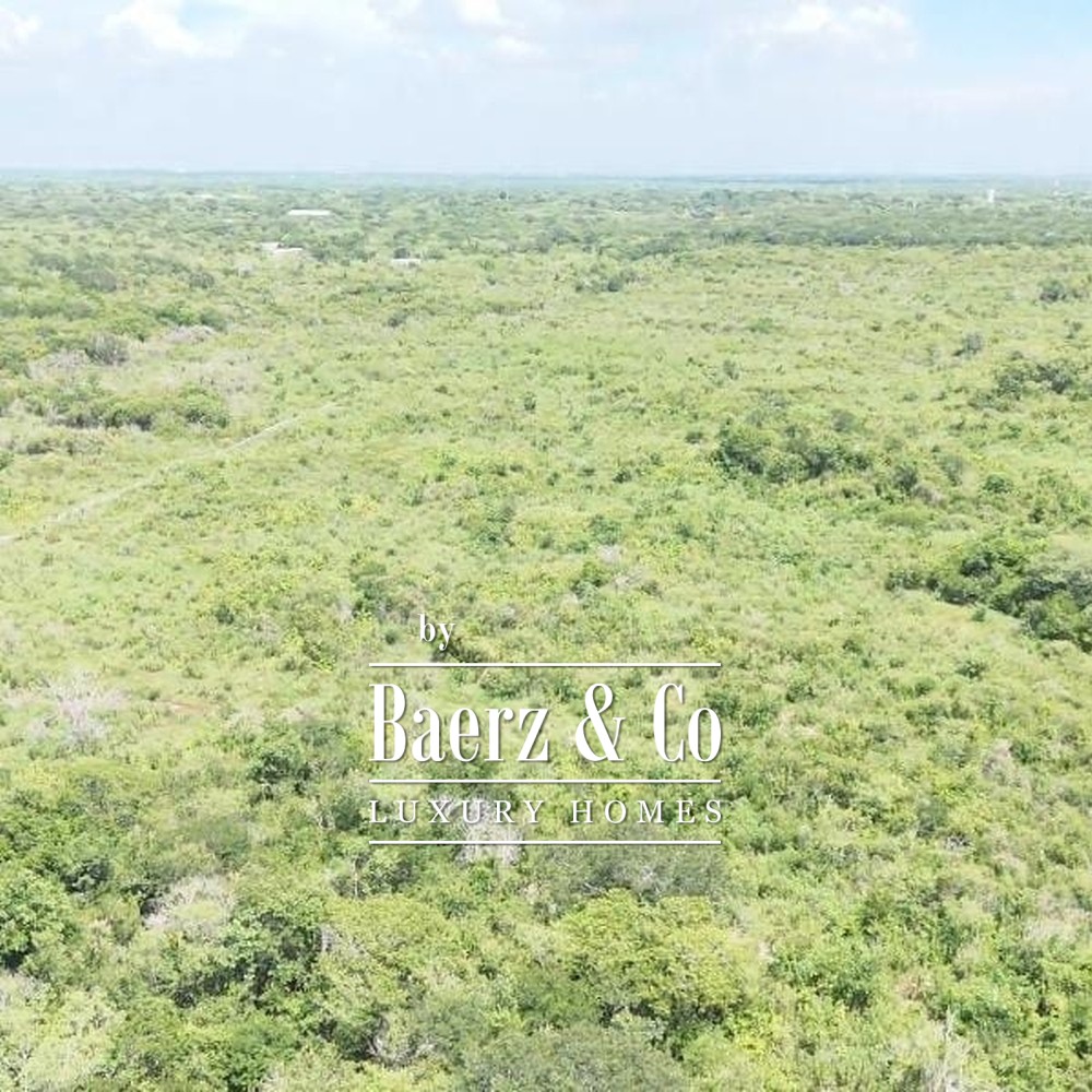15 HECTARES OF JUNGLE | CUXTAL, KANASÍN, YUCATÁN image