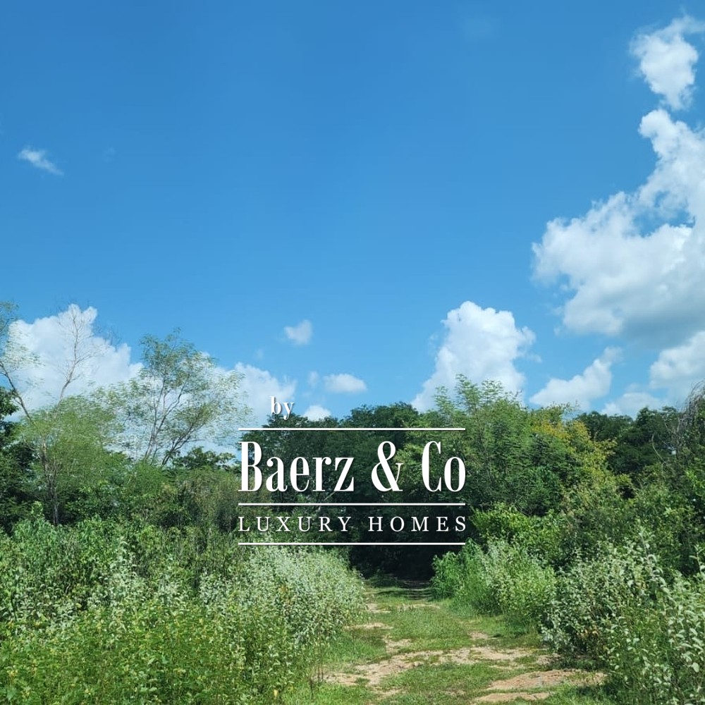 15 HECTARES OF JUNGLE | CUXTAL, KANASÍN, YUCATÁN image