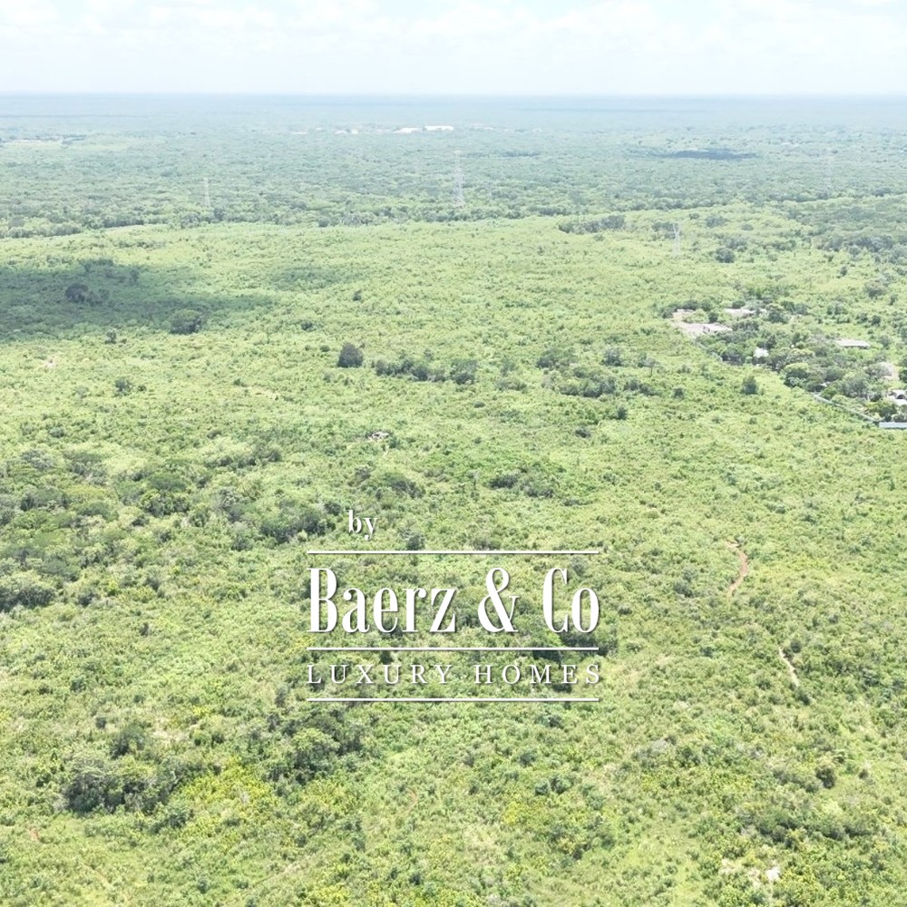 15 HECTARES OF JUNGLE | CUXTAL, KANASÍN, YUCATÁN image