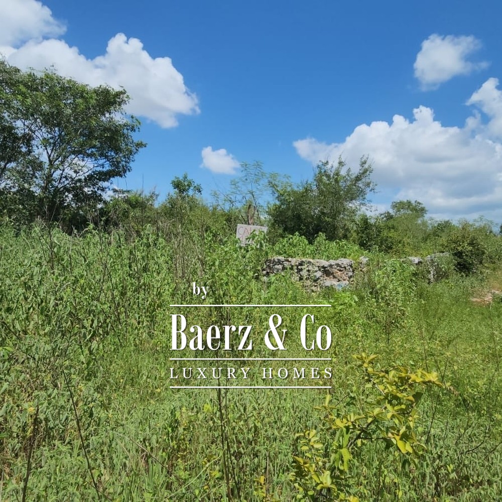 15 HECTARES OF JUNGLE | CUXTAL, KANASÍN, YUCATÁN image
