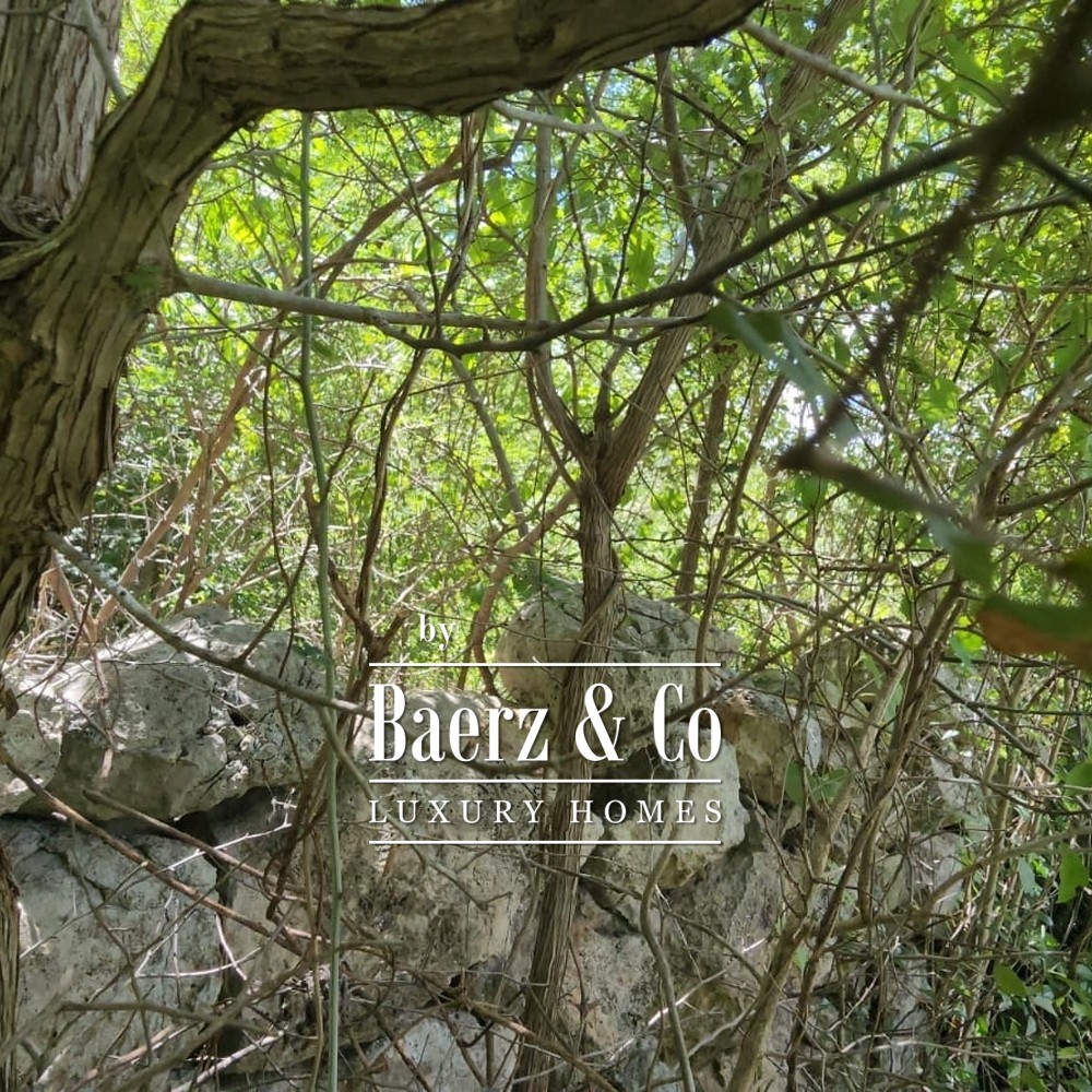 15 HECTARES OF JUNGLE | CUXTAL, KANASÍN, YUCATÁN image
