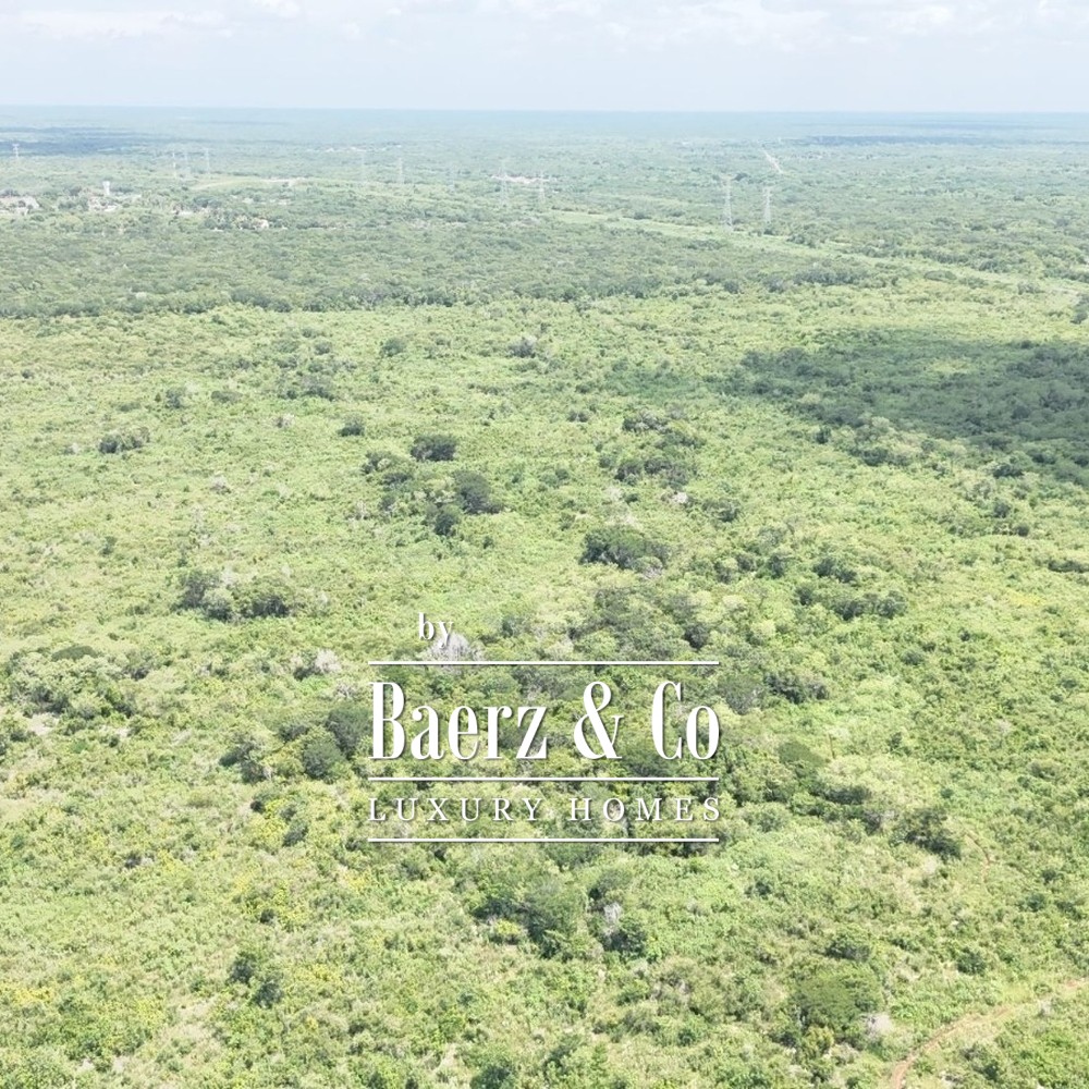 15 HECTARES OF JUNGLE | CUXTAL, KANASÍN, YUCATÁN image