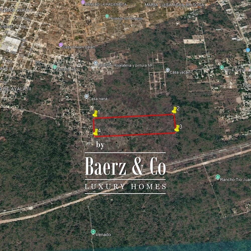 15 HECTARES OF JUNGLE | CUXTAL, KANASÍN, YUCATÁN image