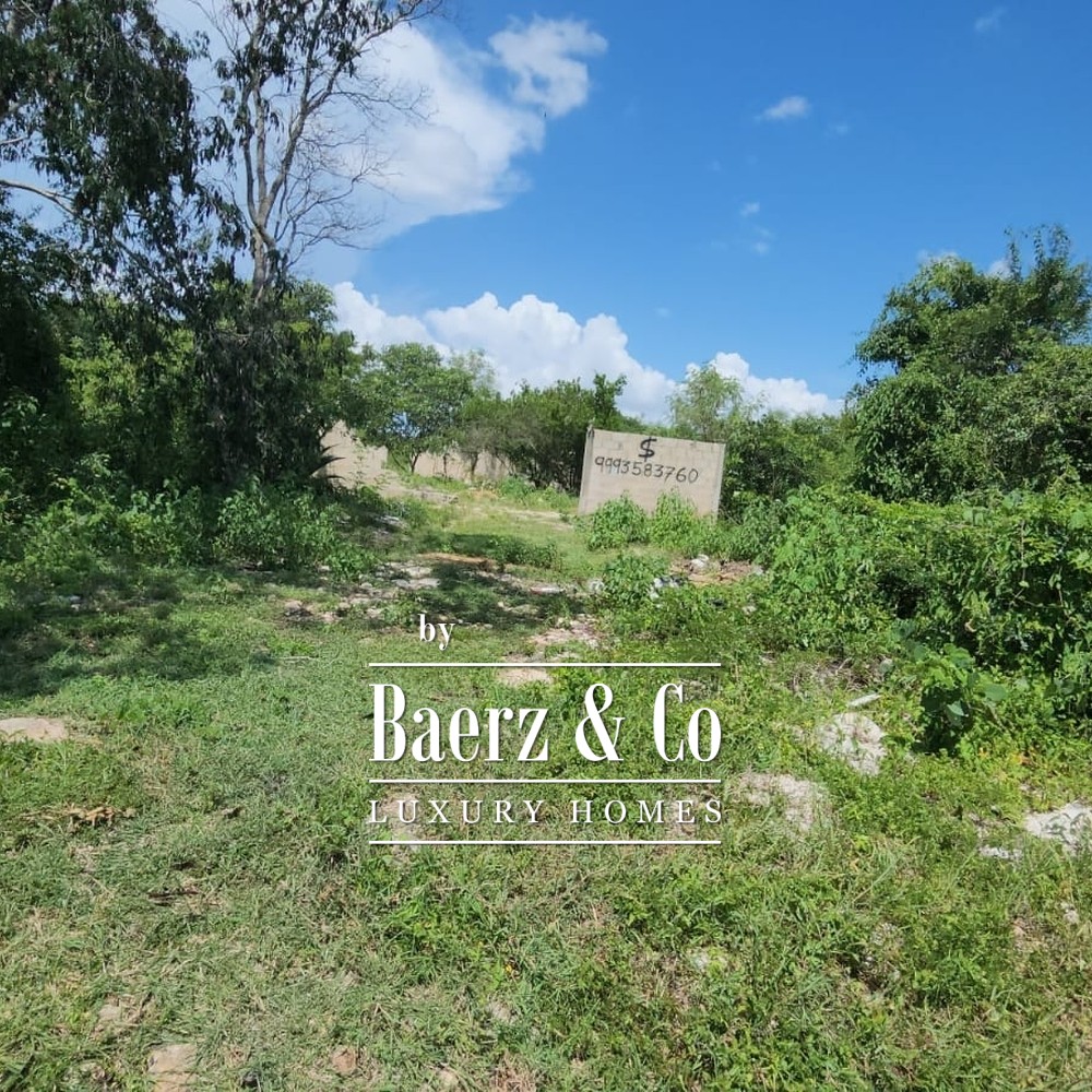 15 HECTARES OF JUNGLE | CUXTAL, KANASÍN, YUCATÁN image