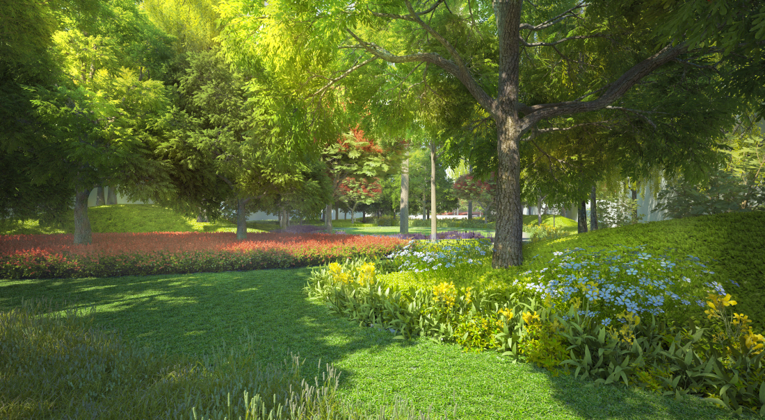 Surroundings photo