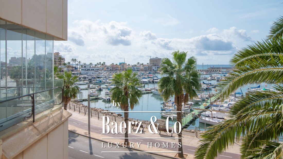 Palma photo
