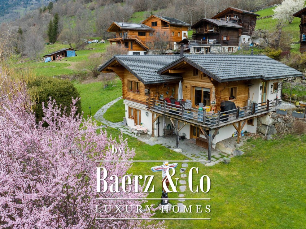 Grimentz photo