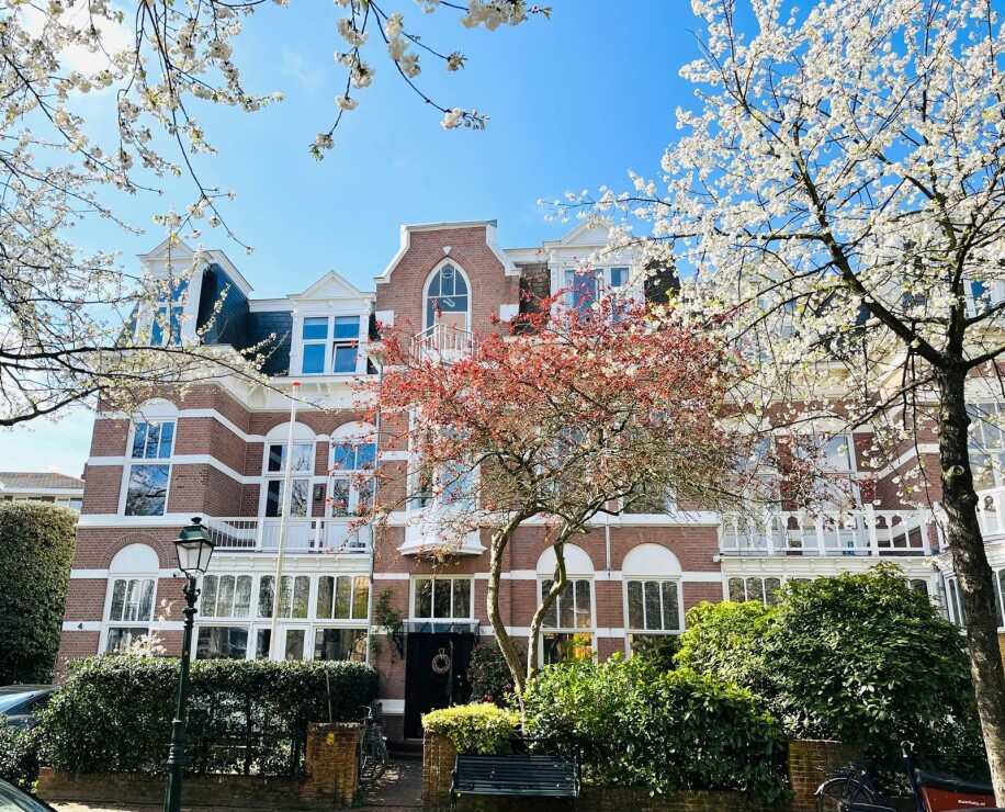 Den Hoorn photo