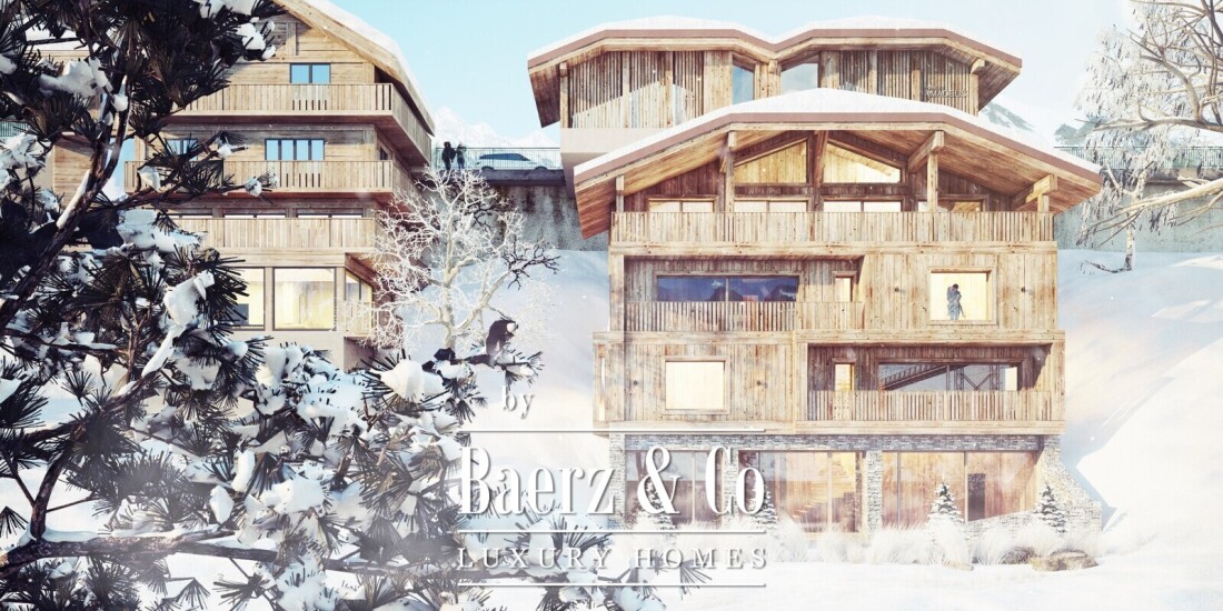La Salle Les Alpes photo