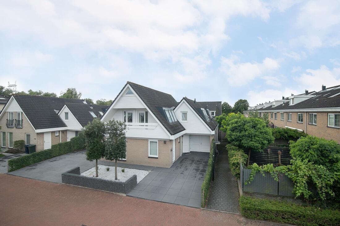 Rotterdam photo