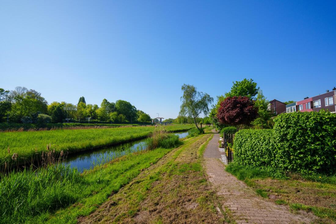 Uitdam photo