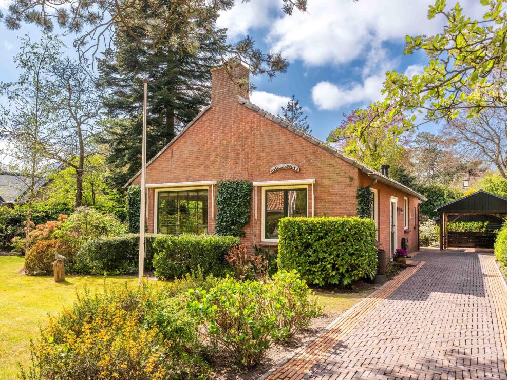 Schoorl photo