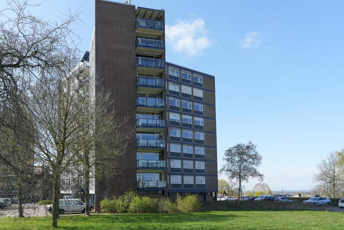 Duiven photo
