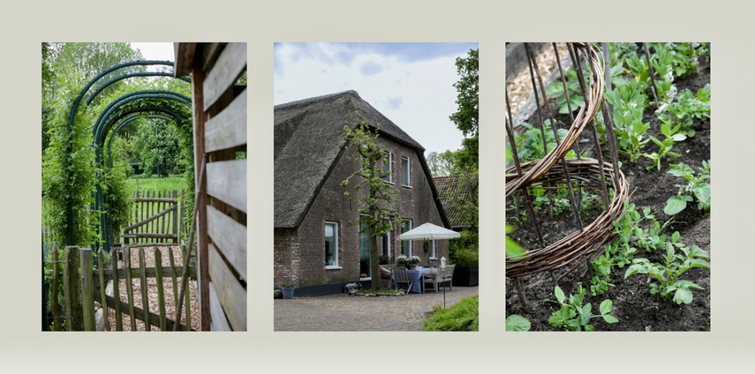 Laren photo