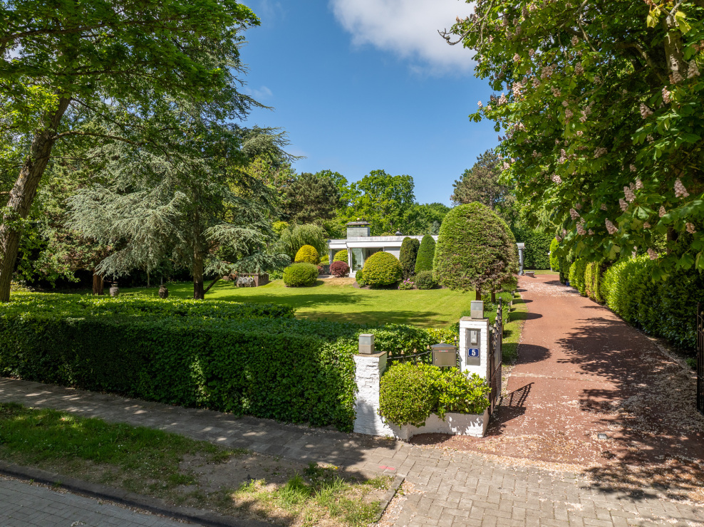 Leiderdorp photo