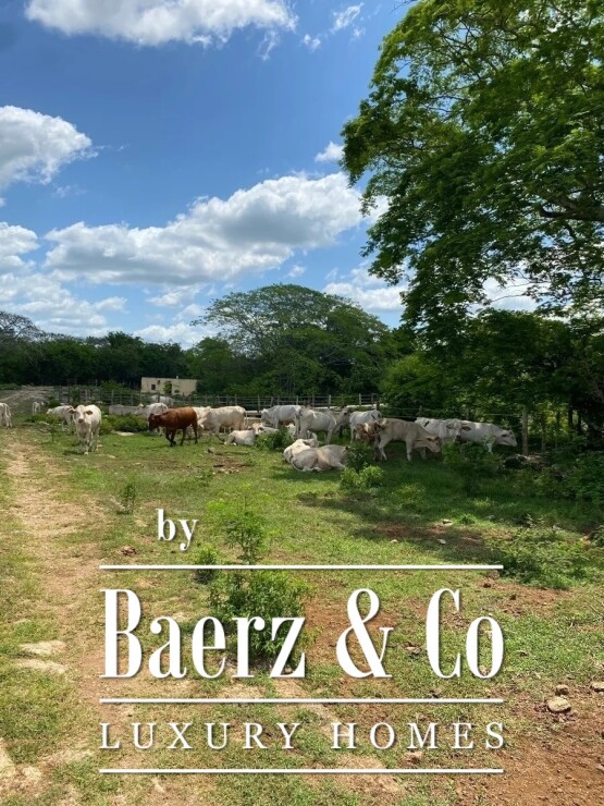 Cuzamá photo