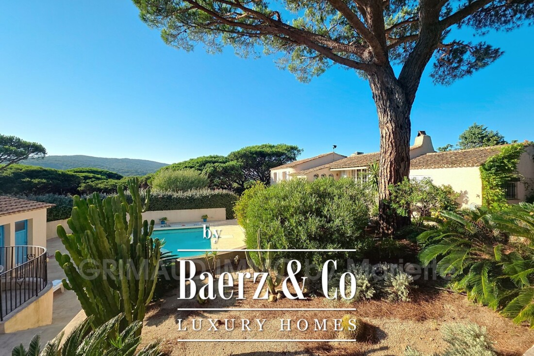 Bormes-les-Mimosas photo