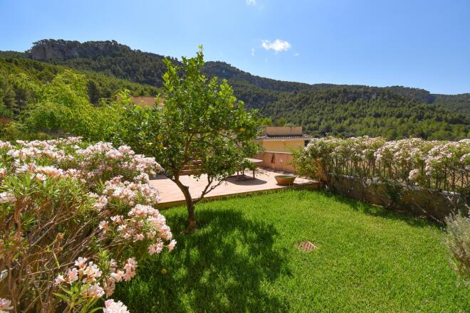 Bendinat / Costa D'en Blanes photo