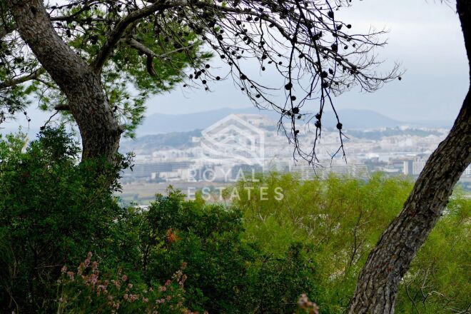 Santa Gertrudis De Fruitera photo