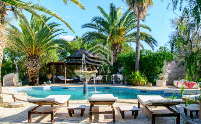 Santa Gertrudis photo