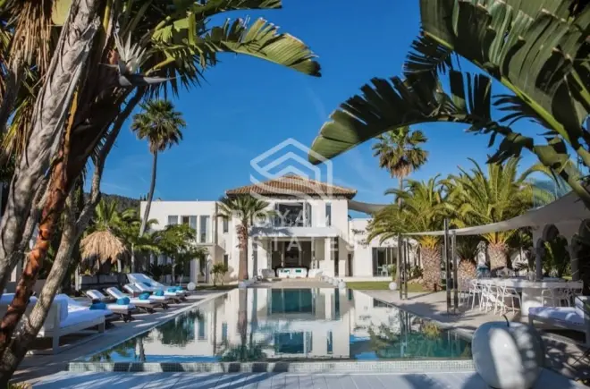 Santa Gertrudis photo