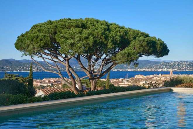 Saint Tropez photo