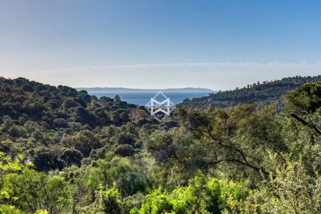 Bormes-les-Mimosas photo