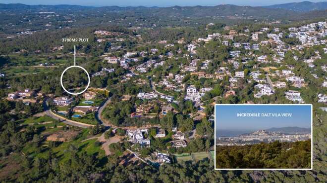 Santa Gertrudis photo