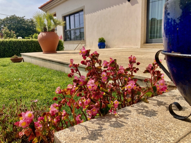 Gulpilhares E Valadares photo