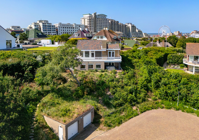 Noordwijkerhout photo