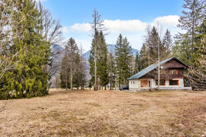 Gozd Martuljek photo