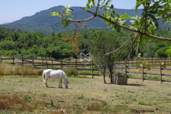La Roquette-sur-Siagne photo