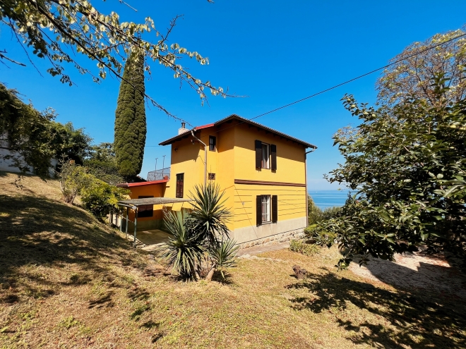 Gozd Martuljek photo