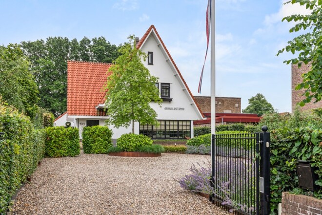 Duiven photo
